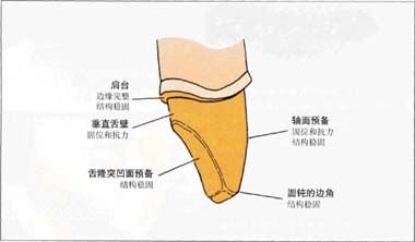 前牙牙折有哪些修复治疗方法