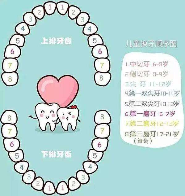 牙齿的健康与心脏的健康息息相关