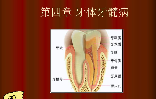 牙体牙髓病是有哪些因素所导致的