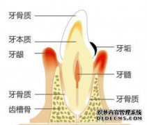 一刷牙就出血？别怪牙刷，真相是这样！