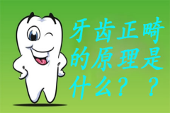【福州】牙齿正畸的原理？矫正会导致疼痛吗？