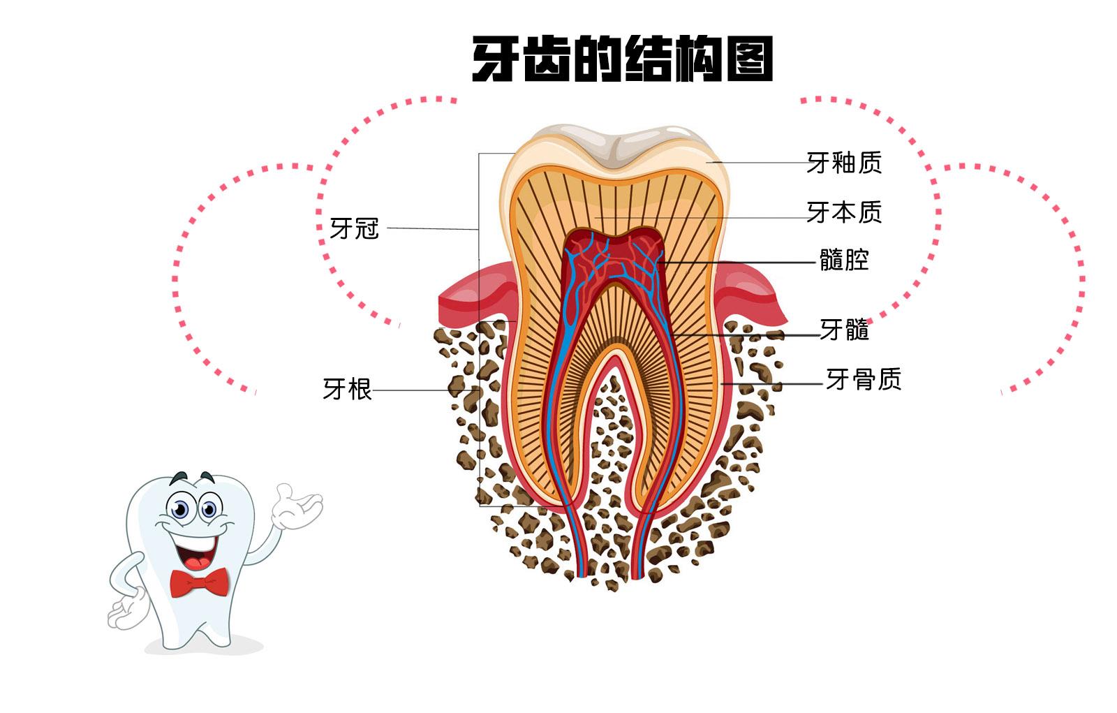 【福州】为什么晚上会牙疼？该怎么治疗？