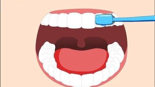 【福州】保护乳牙有什么作用？该如何保护？