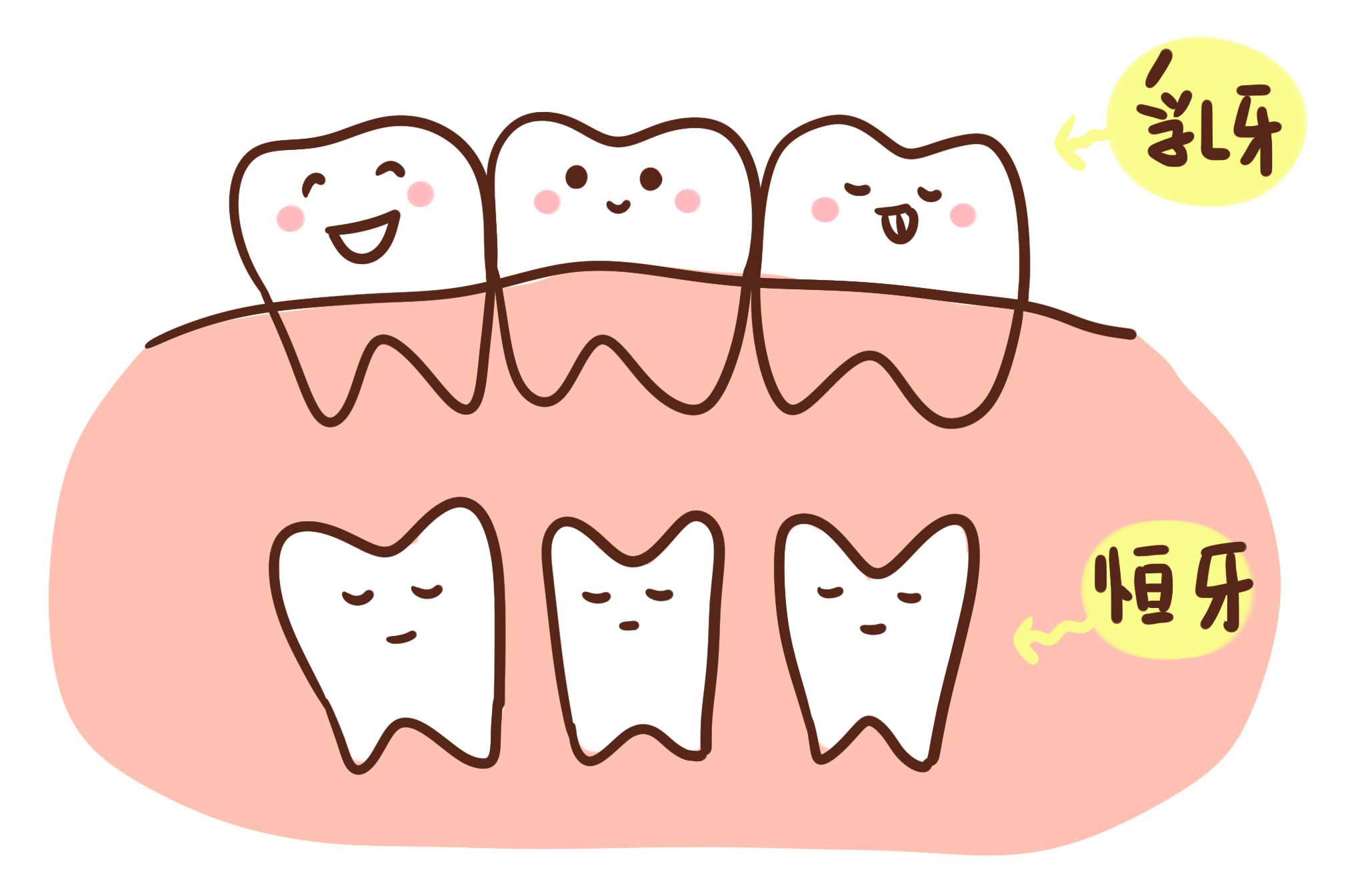【福州】乳牙与恒牙一样重要，该如何保护？